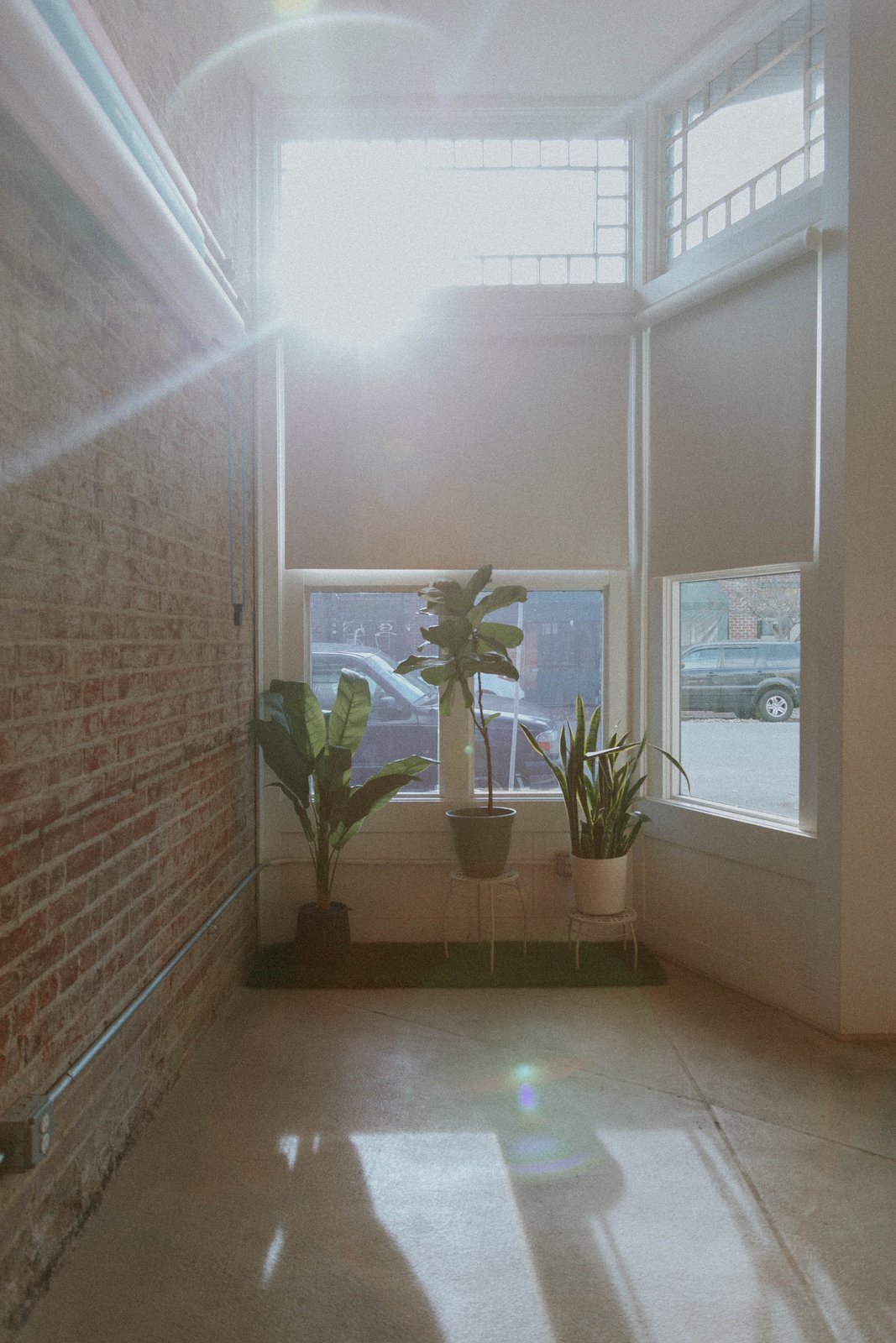 Morning light through the front windows